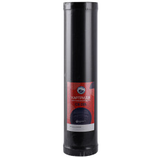 Картридж для усунення сірководню Bio+ systems CX-20L Big Blue 20″