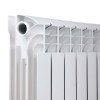 Радіатор біметалічний Thermo Alliance Bi-Ferrum 300/100 1,15 кг