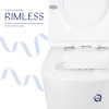 Унітаз підлоговий Qtap Swan безобідковий з сідінням Soft-close QT16223178W