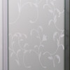 Душова кабіна Insana Geya Flowers 091 F LN 90х90х194 мілкий піддон ( А0048487 )
