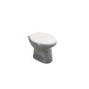 Унітаз дачний D-grey 46.5*37.0*35.0 сірий ( А0055275 )